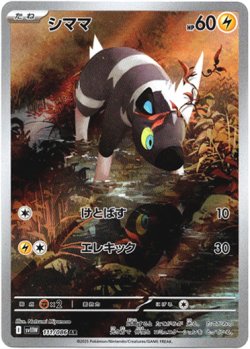 画像1: 『買取』【AR】シママ
