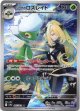 『買取』【AR】シロナのロズレイド