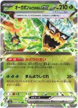 画像: 『買取』オーガポン みどりのめんex